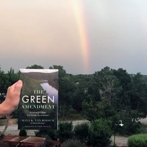 the Green Amendment book